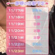 ヒメ日記 2025/11/17 22:28 投稿 翠那(あきな) 恋愛マット同好会