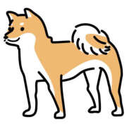 ヒメ日記 2025/11/24 08:21 投稿 翠那(あきな) 恋愛マット同好会