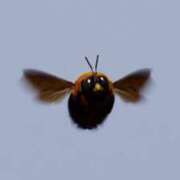 ヒメ日記 2025/06/05 01:38 投稿 竹内 りむ 夜這い＆イメクラ妄想する女学生たち谷九校