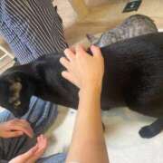 ヒメ日記 2025/08/24 19:22 投稿 竹内 りむ 夜這い＆イメクラ妄想する女学生たち谷九校