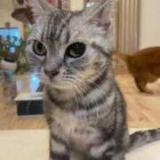 ヒメ日記 2025/08/25 12:01 投稿 竹内 りむ 夜這い＆イメクラ妄想する女学生たち谷九校