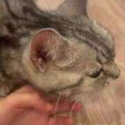 ヒメ日記 2025/08/25 15:42 投稿 竹内 りむ 夜這い＆イメクラ妄想する女学生たち谷九校