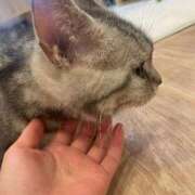 ヒメ日記 2025/08/26 03:22 投稿 竹内 りむ 夜這い＆イメクラ妄想する女学生たち谷九校