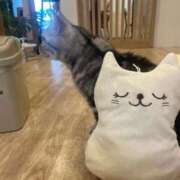 ヒメ日記 2025/08/26 18:22 投稿 竹内 りむ 夜這い＆イメクラ妄想する女学生たち谷九校