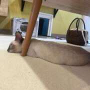 ヒメ日記 2025/08/27 13:42 投稿 竹内 りむ 夜這い＆イメクラ妄想する女学生たち谷九校