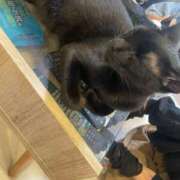 ヒメ日記 2025/08/28 03:46 投稿 竹内 りむ 夜這い＆イメクラ妄想する女学生たち谷九校