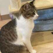 ヒメ日記 2025/09/03 23:05 投稿 竹内 りむ 夜這い＆イメクラ妄想する女学生たち谷九校