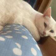 ヒメ日記 2025/09/05 12:05 投稿 竹内 りむ 夜這い＆イメクラ妄想する女学生たち谷九校