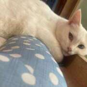 ヒメ日記 2025/09/09 15:03 投稿 竹内 りむ 夜這い＆イメクラ妄想する女学生たち谷九校