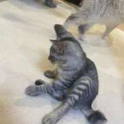 ヒメ日記 2025/09/24 03:48 投稿 竹内 りむ 夜這い＆イメクラ妄想する女学生たち谷九校