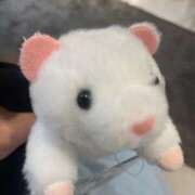 ヒメ日記 2025/09/26 14:22 投稿 竹内 りむ 夜這い＆イメクラ妄想する女学生たち谷九校