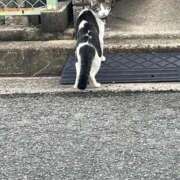 ヒメ日記 2025/10/13 13:42 投稿 竹内 りむ 夜這い＆イメクラ妄想する女学生たち谷九校