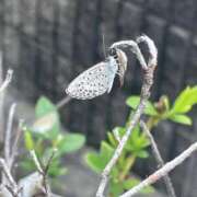 ヒメ日記 2025/10/17 22:42 投稿 竹内 りむ 夜這い＆イメクラ妄想する女学生たち谷九校