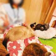 ヒメ日記 2025/11/25 04:08 投稿 竹内 りむ 夜這い＆イメクラ妄想する女学生たち谷九校