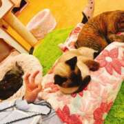 ヒメ日記 2025/11/26 18:24 投稿 竹内 りむ 夜這い＆イメクラ妄想する女学生たち谷九校