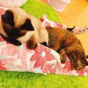 ヒメ日記 2025/11/30 09:42 投稿 竹内 りむ 夜這い＆イメクラ妄想する女学生たち谷九校