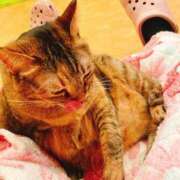 ヒメ日記 2025/12/03 11:15 投稿 竹内 りむ 夜這い＆イメクラ妄想する女学生たち谷九校