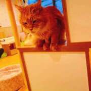 竹内 りむ 来てねも押した💕︎ 夜這い＆イメクラ妄想する女学生たち谷九校