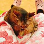 ヒメ日記 2025/12/15 14:45 投稿 竹内 りむ 夜這い＆イメクラ妄想する女学生たち谷九校