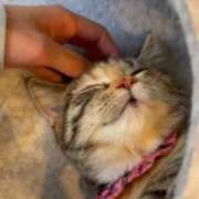 ヒメ日記 2026/03/06 07:22 投稿 竹内 りむ 夜這い＆イメクラ妄想する女学生たち谷九校