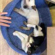 ヒメ日記 2026/04/13 11:12 投稿 竹内 りむ 夜這い＆イメクラ妄想する女学生たち谷九校