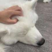 ヒメ日記 2026/09/24 18:22 投稿 竹内 りむ 夜這い＆イメクラ妄想する女学生たち谷九校