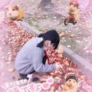 ヒメ日記 2025/12/19 17:22 投稿 本部 なこ 夜這い＆イメクラ妄想する女学生たち谷九校