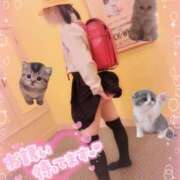 ヒメ日記 2025/12/20 17:32 投稿 本部 なこ 夜這い＆イメクラ妄想する女学生たち谷九校