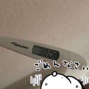 ヒメ日記 2025/06/01 12:05 投稿 アナ しろうと娘　本店