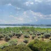 アナ 飲みに🥃 しろうと娘　本店