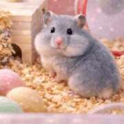 ヒメ日記 2026/03/05 12:31 投稿 まゆり 大奥 梅田店