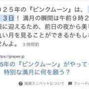 ヒメ日記 2025/04/12 21:36 投稿 めい【4/8デビュー】 Aroma de TOKYO 三河店（岡崎・豊田・安城）
