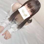 ヒメ日記 2025/12/14 05:49 投稿 こはる Tokyo fairy land-東京フェアリーランド-