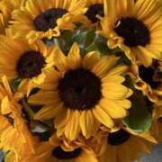 ヒメ日記 2025/05/18 02:26 投稿 田村　悠 ミセス・レヴォアール～再会～