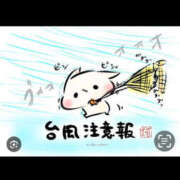 ヒメ日記 2025/07/14 16:57 投稿 田村　悠 ミセス・レヴォアール～再会～