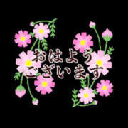 ヒメ日記 2025/07/17 12:19 投稿 田村　悠 ミセス・レヴォアール～再会～