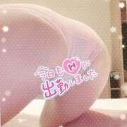 ヒメ日記 2026/03/17 14:13 投稿 相模　あずの エテルナ京都