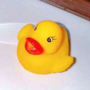 天王寺　やよい ぴよ🐣 アロマキュアシス 吉祥寺