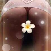 ヒメ日記 2025/08/08 15:36 投稿 卯月 熟女の風俗最終章 新横浜店