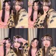 ヒメ日記 2025/06/01 18:49 投稿 ねる ベイビーモコ