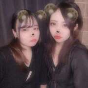 ヒメ日記 2025/07/04 12:10 投稿 ねる ベイビーモコ