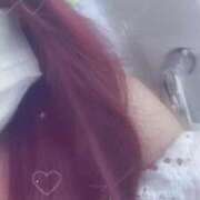 ヒメ日記 2025/07/08 12:07 投稿 ねる ベイビーモコ