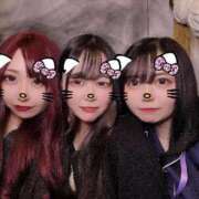 ヒメ日記 2025/07/19 18:19 投稿 ねる ベイビーモコ