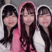 ヒメ日記 2025/08/21 17:13 投稿 ねる ベイビーモコ