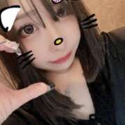 ヒメ日記 2025/08/30 15:56 投稿 ねる ベイビーモコ