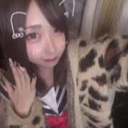 ヒメ日記 2025/09/20 14:13 投稿 ねる ベイビーモコ