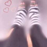 ヒメ日記 2025/10/06 12:00 投稿 ねる ベイビーモコ