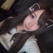 ヒメ日記 2025/10/16 13:12 投稿 ねる ベイビーモコ