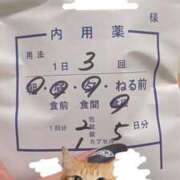 ヒメ日記 2025/10/17 23:27 投稿 ねる ベイビーモコ