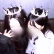 ヒメ日記 2025/10/21 17:28 投稿 ねる ベイビーモコ